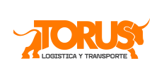 Torus